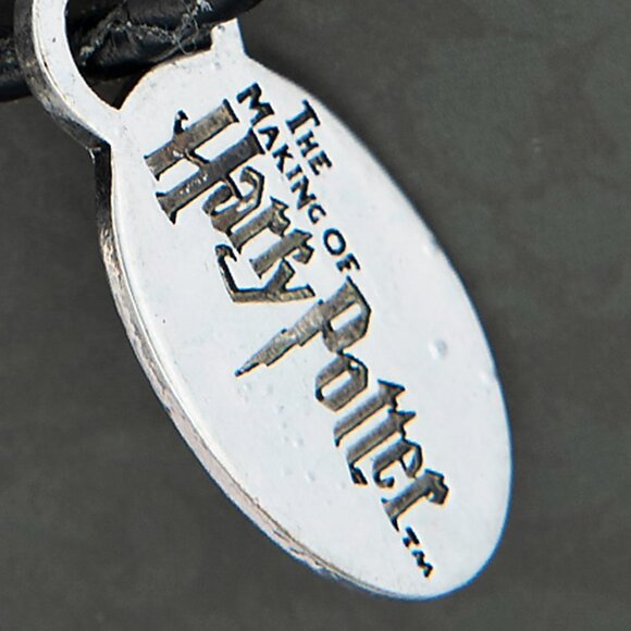 Harry Potter Charm Keyring | London Studio Tour Exclusive | Collectible Gift - Picture 2 of 8